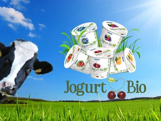 Jogurt BIO – cóż to za nowość?
